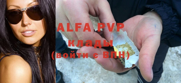 стафф Арсеньев