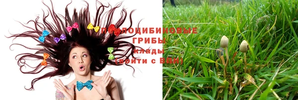 каннабис Аркадак